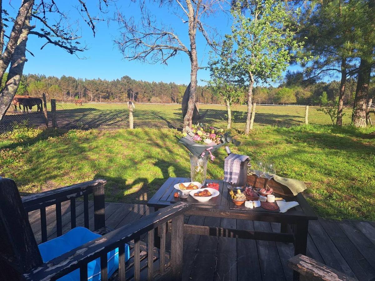 Domaine L'Oree Du Marais Le Barp Kültér fotó